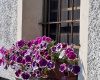 43 Dialley, Aymavilles, 1 Camera da Letto Stanze da Letto, 0 ,1 BagnoBathrooms,Appartamento,Dintorni di Aosta,Dialley,0,1630 43 Dialley, Aymavilles, 1 Camera da Letto Stanze da Letto, 0 ,1 BagnoBathrooms,Appartamento,Dintorni di Aosta,Dialley,0,1630